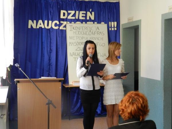 dn31.jpg